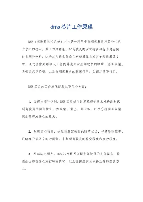 dms芯片工作原理
