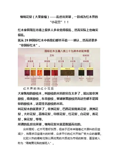 缅甸花梨（大果紫檀）——乱世出英雄，一跃成为红木界的“小花旦”！！