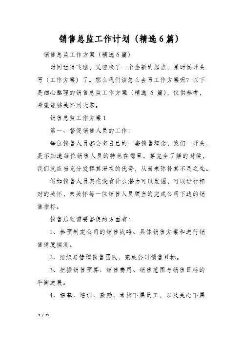 销售总监工作计划(精选6篇)