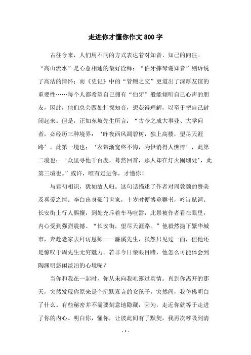 走进你才懂你作文800字