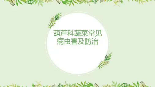 葫芦科蔬菜常见病虫害及防治