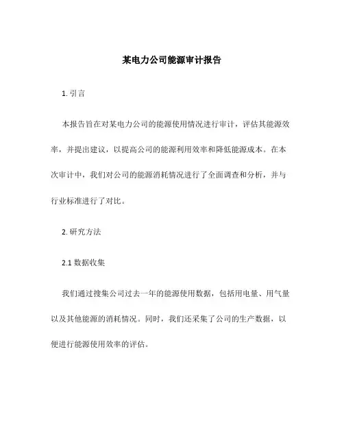 某电力公司能源审计报告