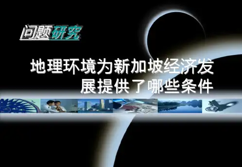 高中地理必修三 地理环境为新加坡经济发展提供了哪些条件 课件