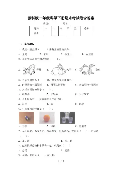 教科版一年级科学下册期末考试卷含答案