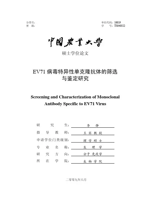 EV71病毒特异性单克隆抗体的筛选