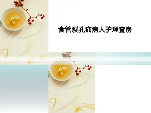 食道裂孔疝护理精选全文
