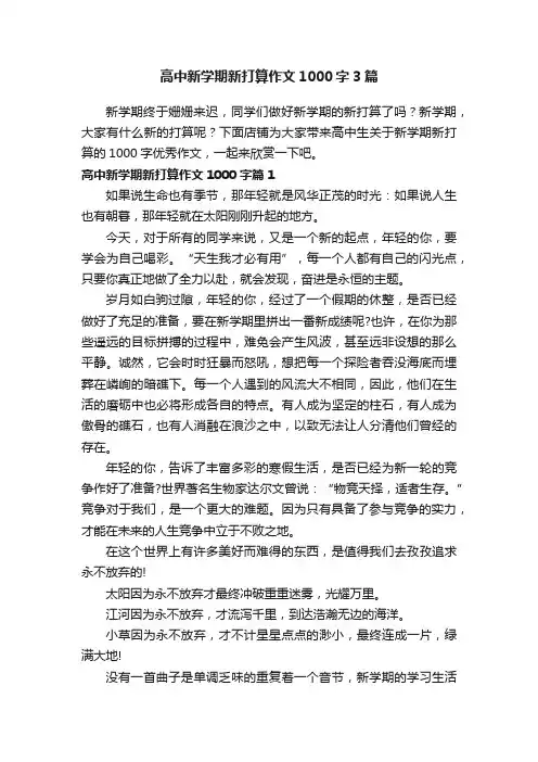 高中新学期新打算作文1000字3篇