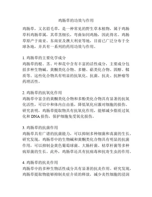 鸡肠草的功效与作用