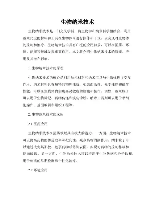 生物纳米技术
