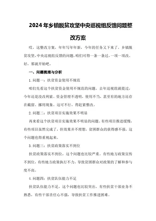 2024年乡镇脱贫攻坚中央巡视组反馈问题整改方案