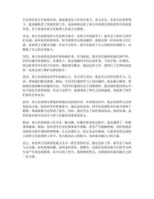 班主任助理工作感想