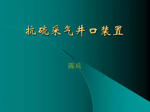 抗硫采气井口装置