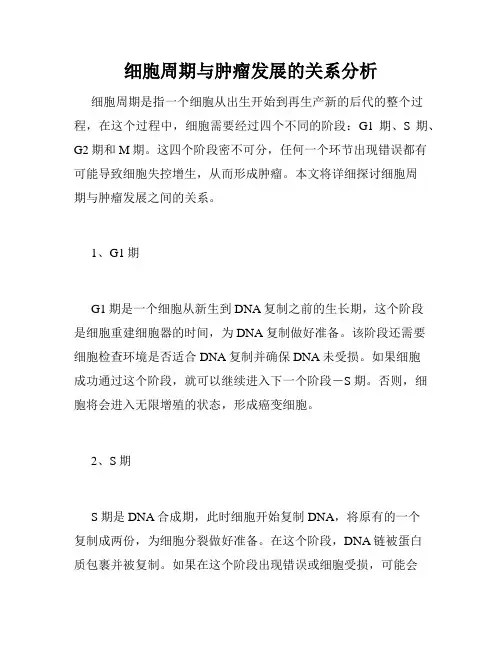 细胞周期与肿瘤发展的关系分析