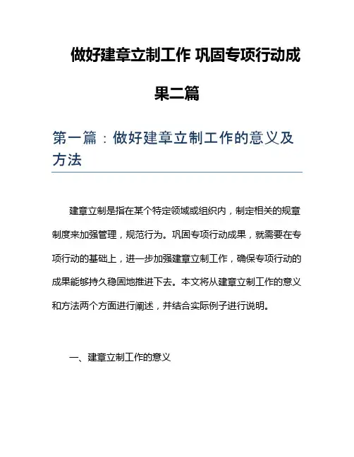 做好建章立制工作 巩固专项行动成果三篇