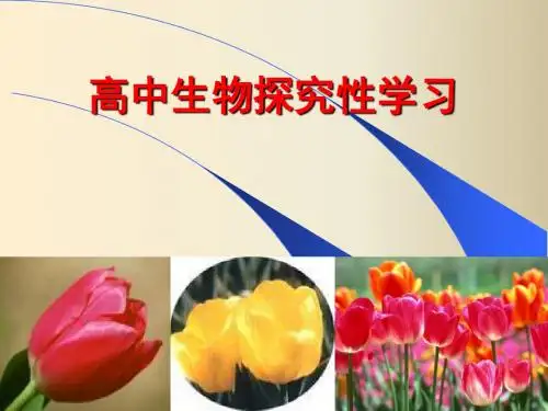 高中生物探究性学习(含实验)