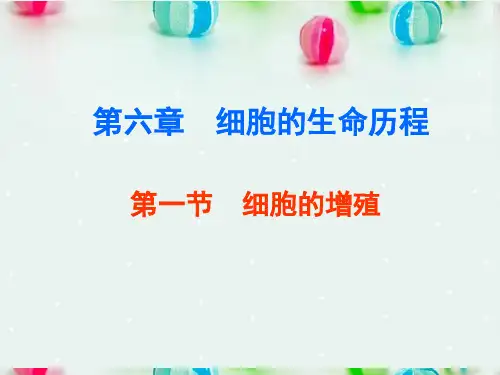 福建省晋江市首峰中学高一生物《细胞的增殖》课件 人教版