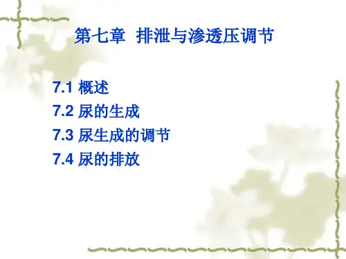 生理学07排泄系统(1)汇总