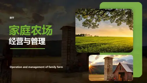 家庭农场完整版ppt
