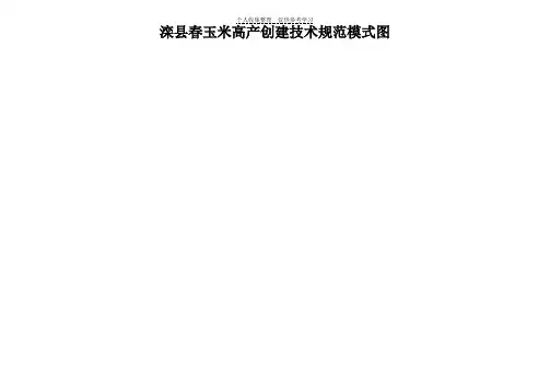 滦县春玉米高产创建技术规范模式图