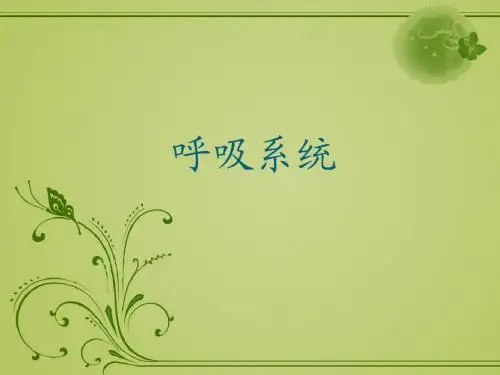 呼吸系统-肺脏