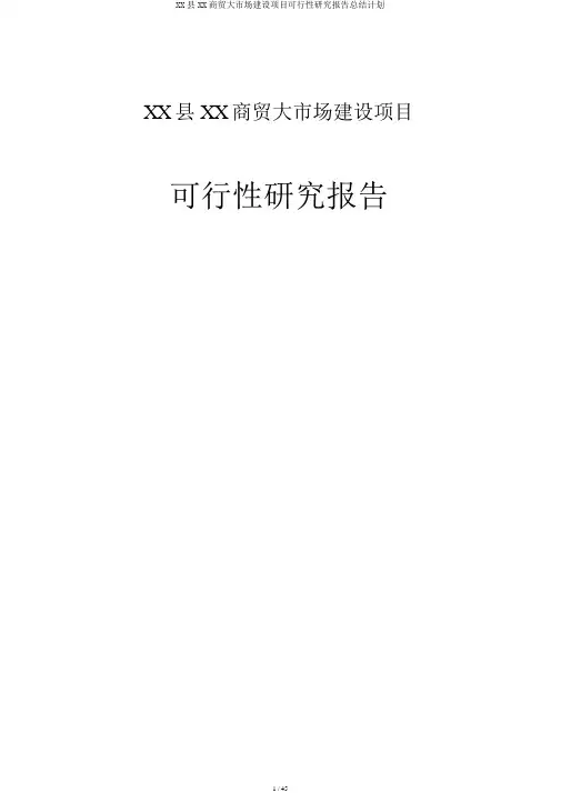 XX县XX商贸大市场建设项目可行性研究报告总结计划
