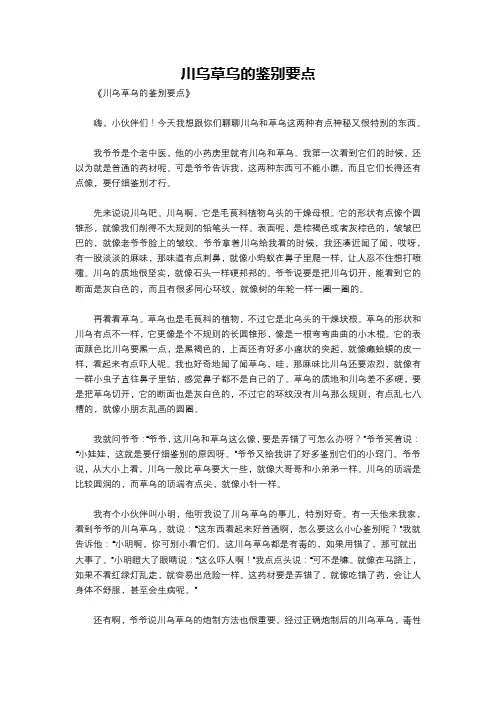 川乌草乌的鉴别要点