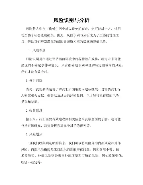 风险识别与分析