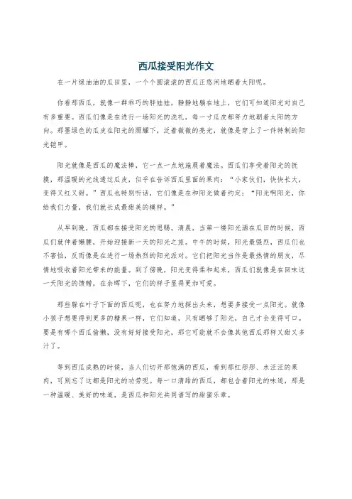 西瓜接受阳光作文