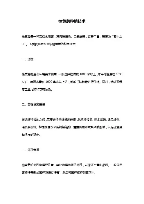 榆黄蘑种植技术