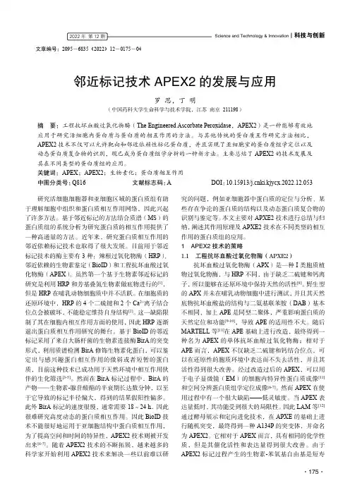 邻近标记技术APEX2 的发展与应用