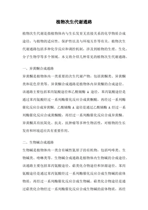 植物次生代谢通路