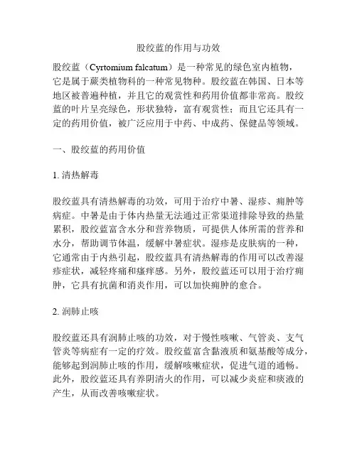 股绞蓝的作用与功效