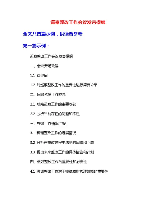 巡察整改工作会议发言提纲