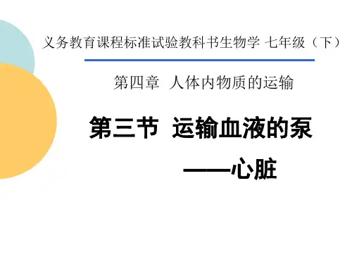 心脏的结构和功能(说课课件)