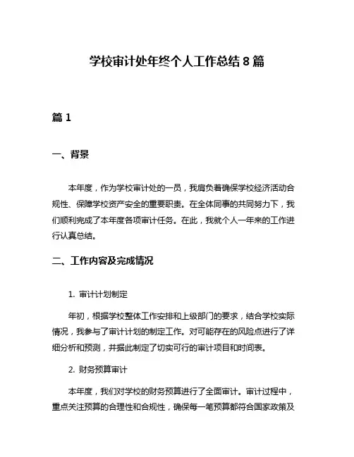 学校审计处年终个人工作总结8篇