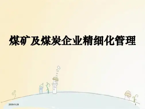 煤矿煤炭企业精细化管理