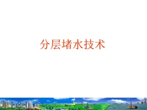 油田堵水技术讲解