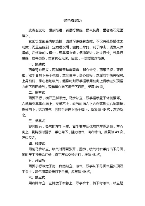 武当玄武功