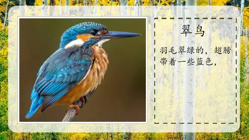 25.《灰雀》课件(共30张PPT)