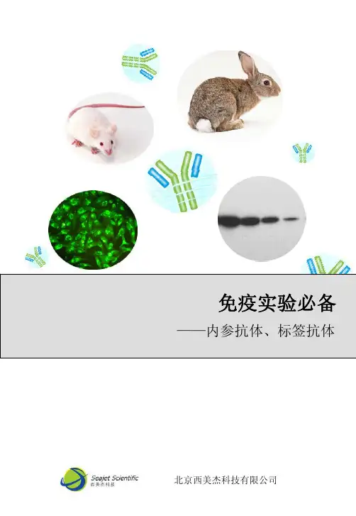 免疫试验必备 内参抗体