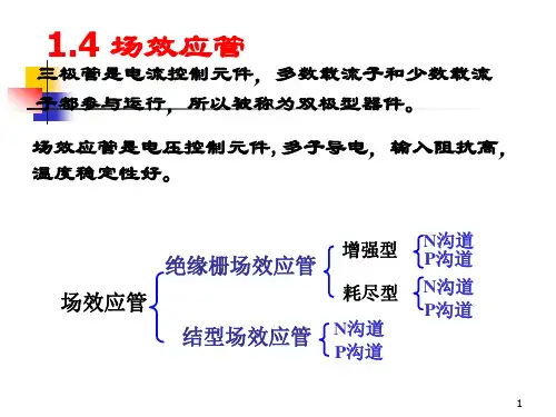 场效应管PPT课件