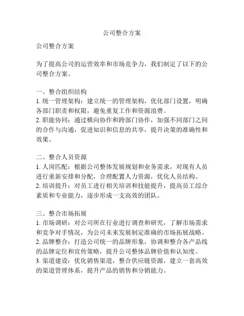 公司整合方案