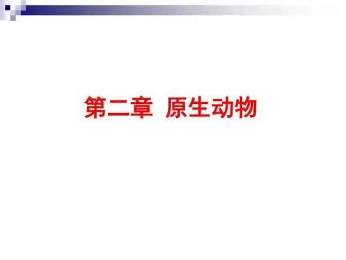 第三章 原生动物