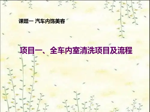汽车内饰清洗