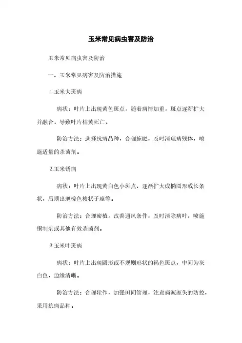 玉米常见病虫害及防治(2023最新版)