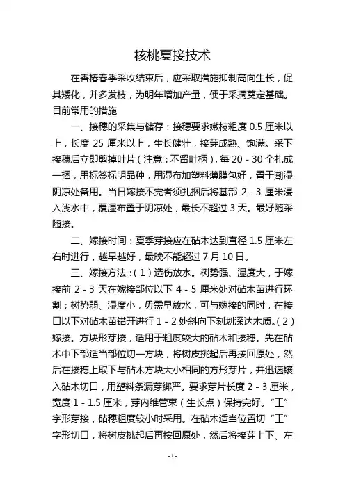 核桃夏接技术