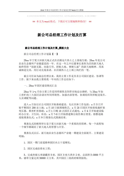 2018年新公司总经理工作计划及打算-word范文模板 (12页)