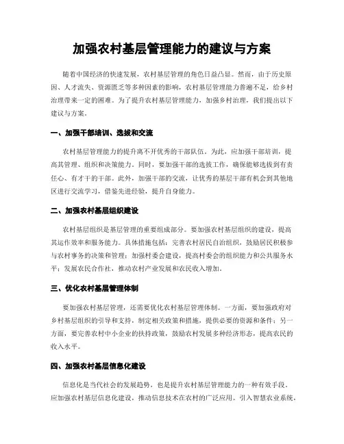 加强农村基层管理能力的建议与方案