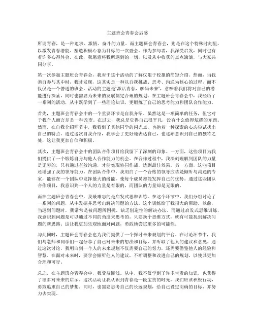 主题班会青春会后感