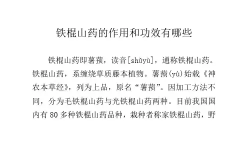 铁棍山药的作用和功效有哪些